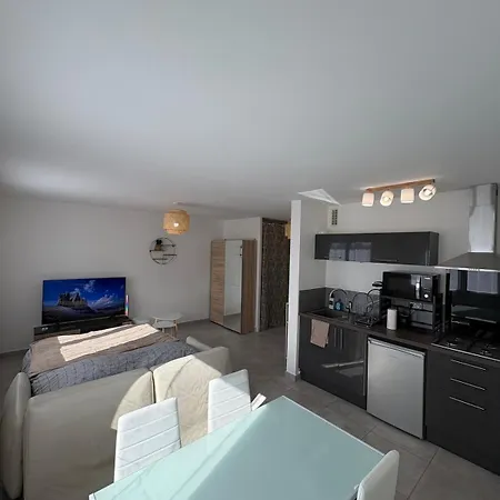 Cozy Parking Prive Centre Apartment Meyzieu